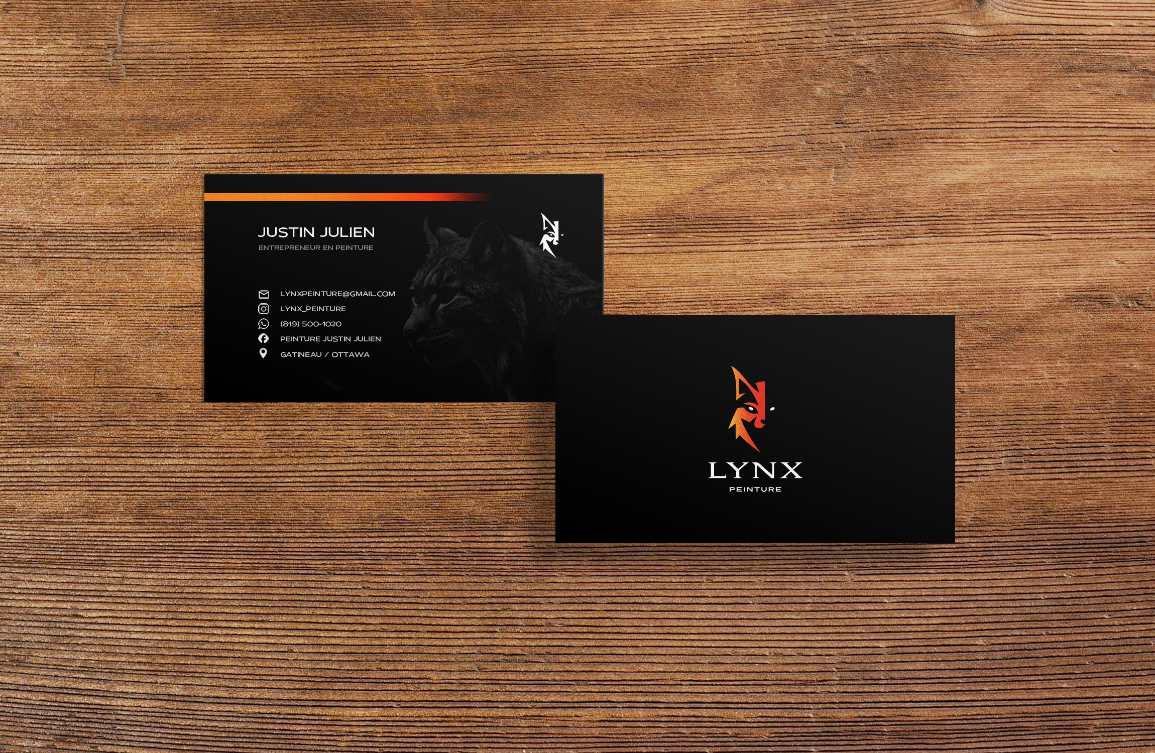 Lynx Peinture — 9